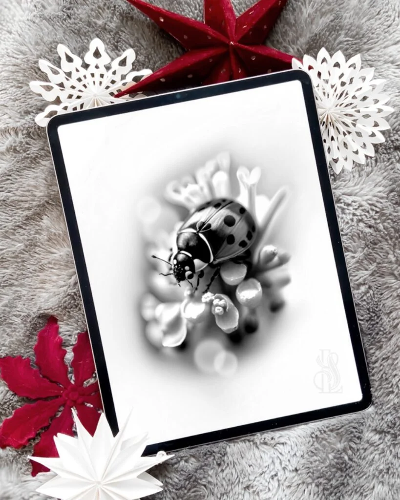 flash 114 coccinelle